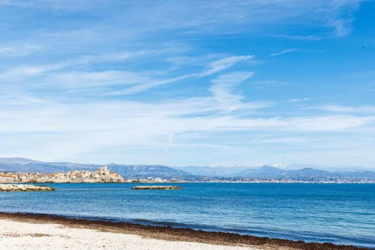 Tamanaco Beach 1Bdr Apartment With Balcony Sea View And Pool location